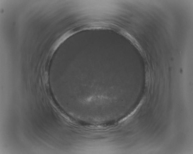 X0000062851465200601131337