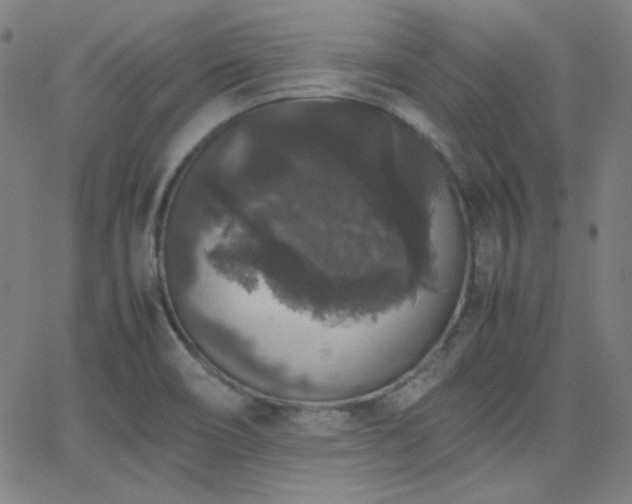 X0000062851466200601131337