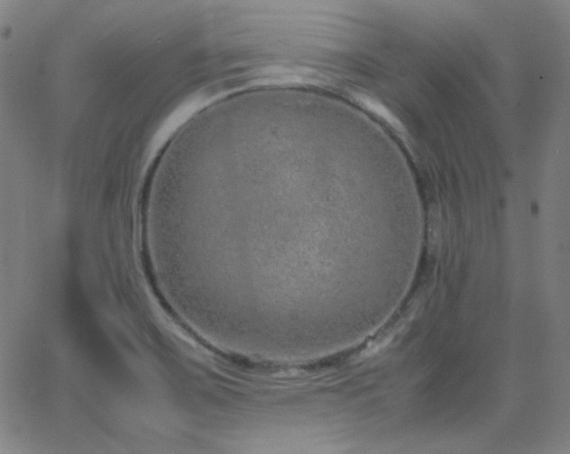 X0000062851467200601131337