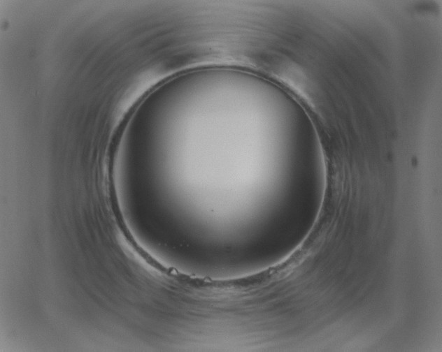 X0000062851468200601131337