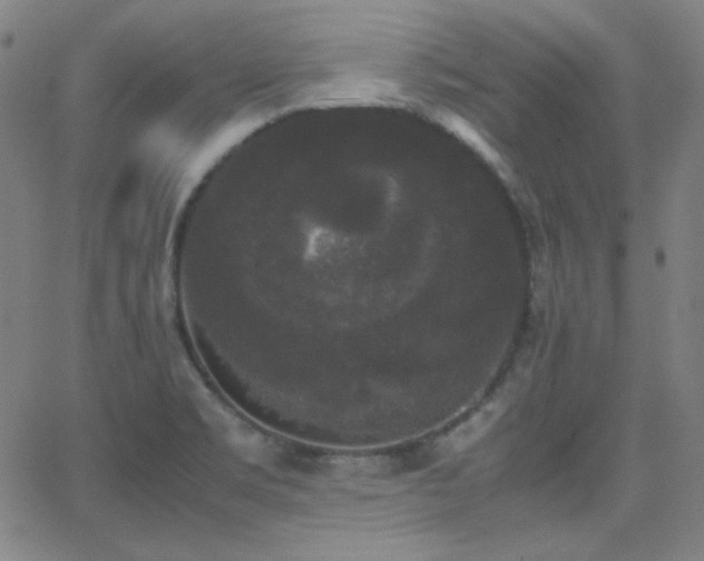 X0000062851469200601131337