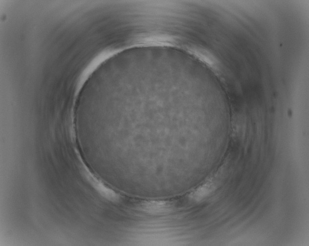 X0000062851470200601131337