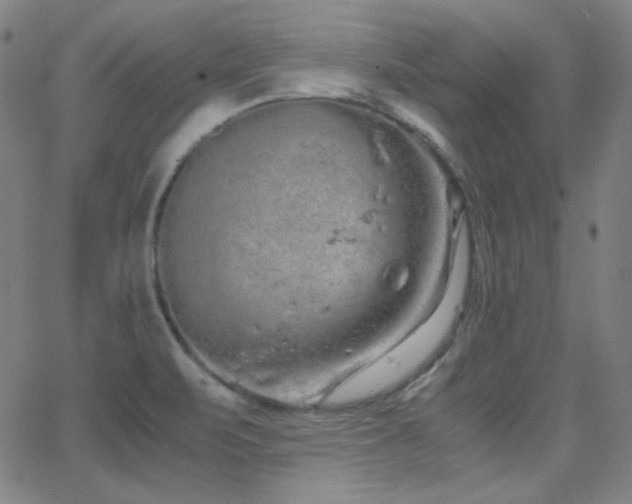 X0000062851471200601131337