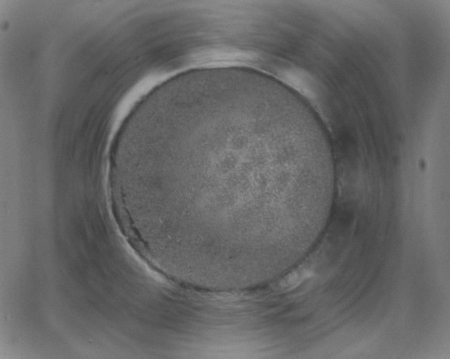 X0000062851472200601131337