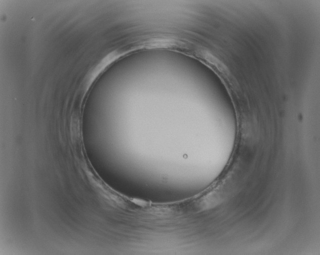 X0000062851473200601131337