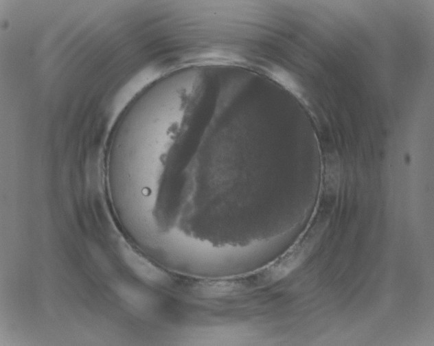 X0000062851474200601131337