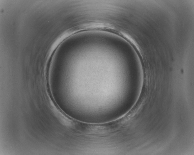 X0000062851475200601131337