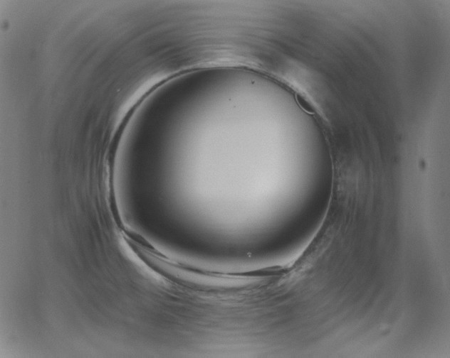 X0000062851476200601131337