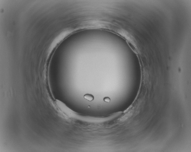 X0000062851477200601131337