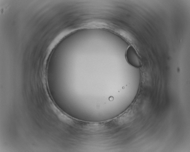 X0000062851478200601131337