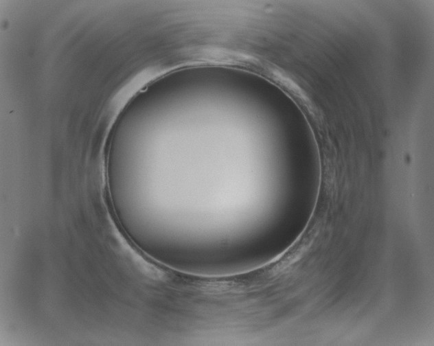 X0000062851479200601131337