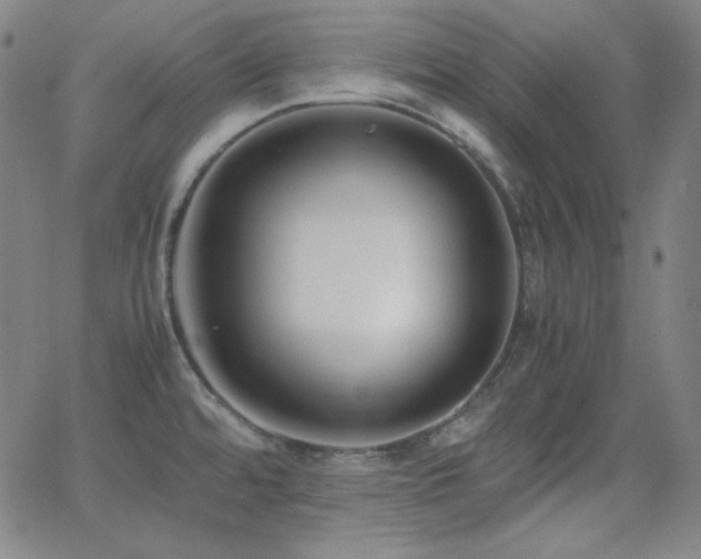 X0000062851480200601131337