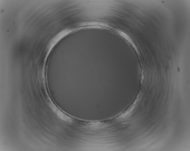 X0000062851482200601131337