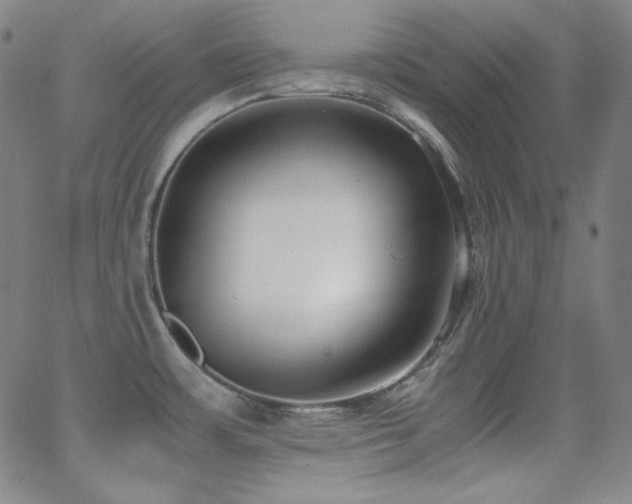 X0000062851483200601131337