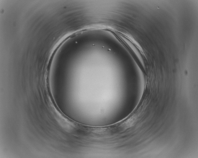 X0000062851484200601131337