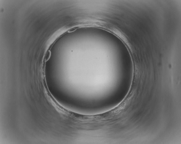 X0000062851485200601131337