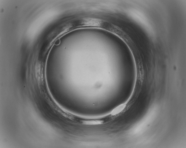 X0000062851487200601131337