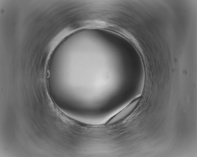 X0000062851488200601131337