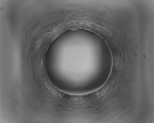 X0000062851489200601131336