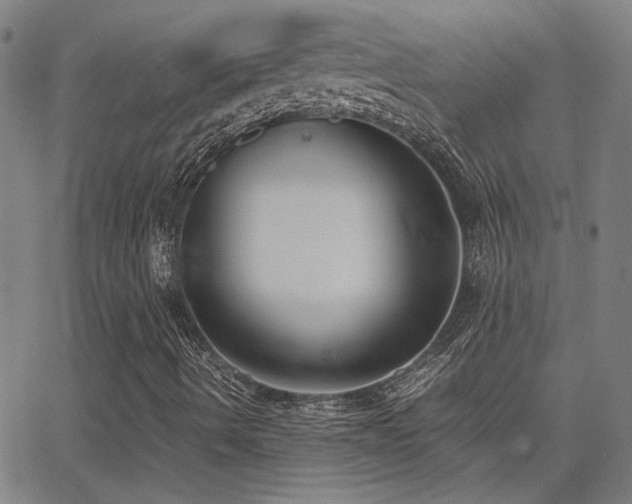 X0000062851490200601131336