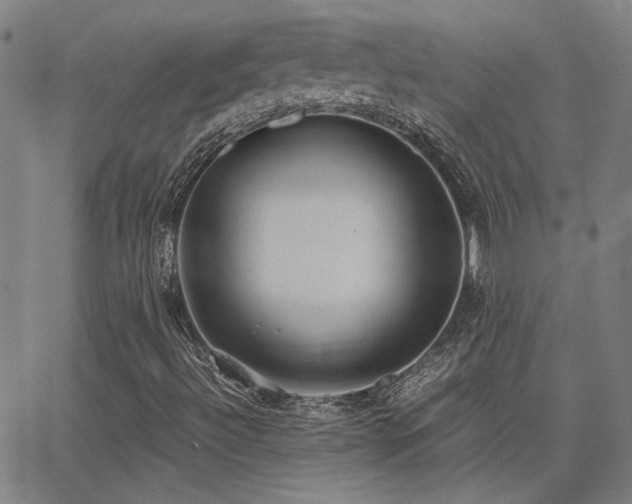 X0000062851492200601131336