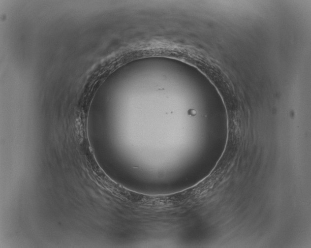 X0000062851493200601131336