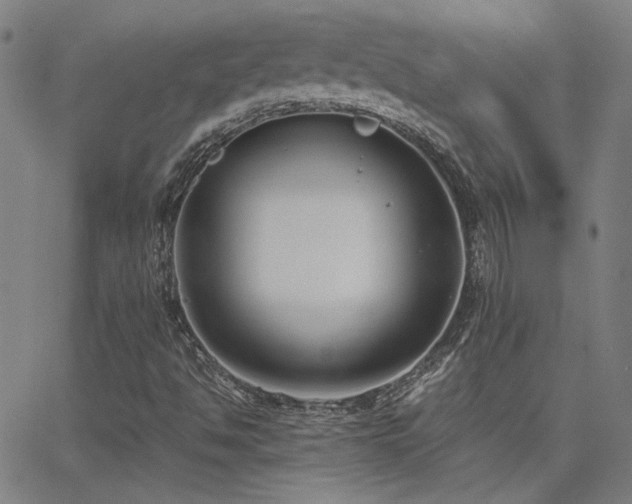 X0000062851494200601131336