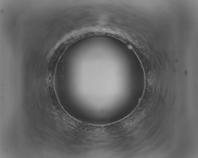 X0000062851495200601131336