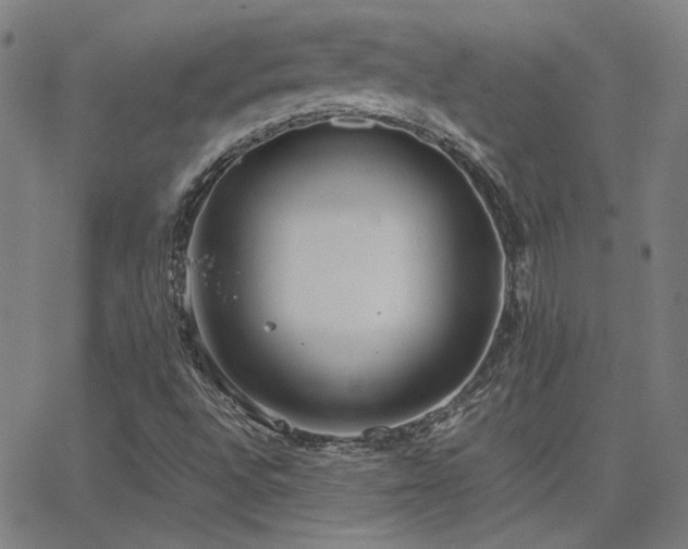 X0000062851496200601131336