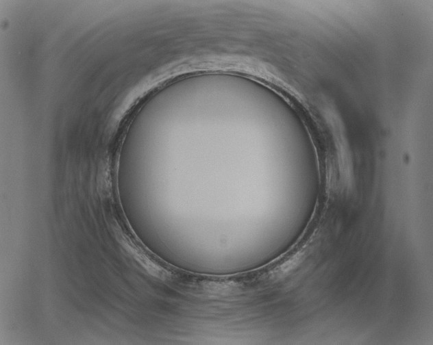 X0000062851498200601131336