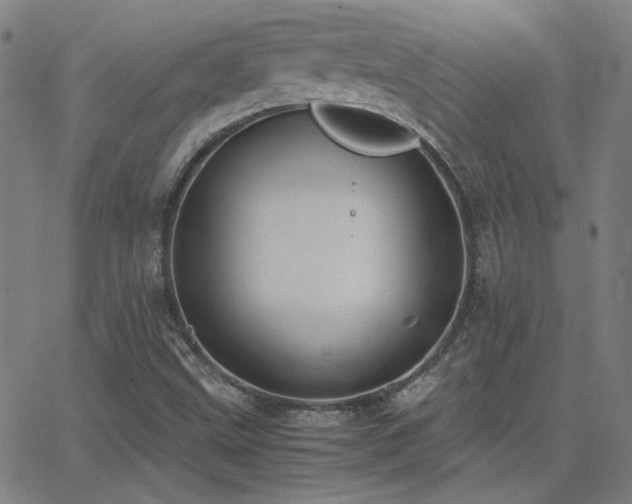 X0000062851499200601131336