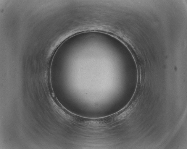 X0000062851500200601131336