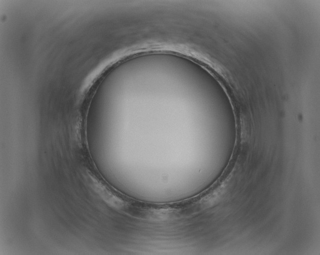 X0000062851502200601131336