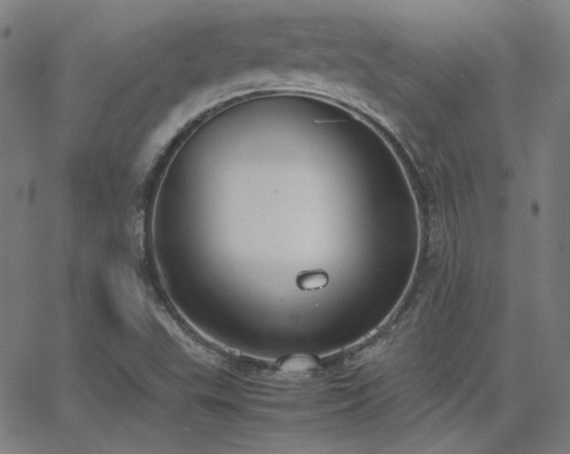 X0000062851503200601131336