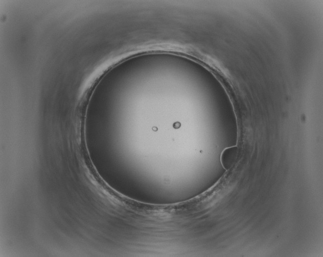 X0000062851504200601131336