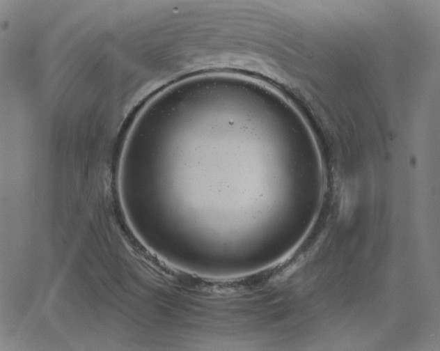 X0000062851505200601131336