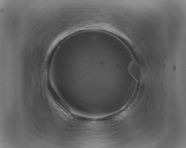 X0000062851506200601131336