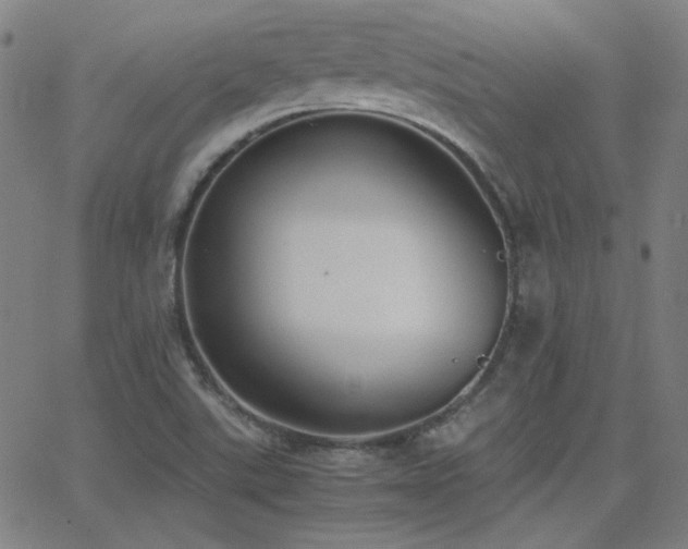 X0000062851507200601131336