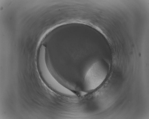 X0000062851508200601131336