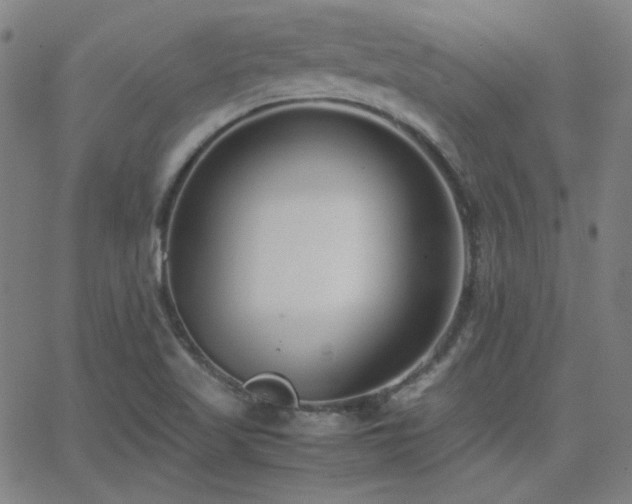 X0000062851509200601131336