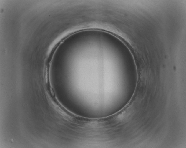 X0000062851510200601131336