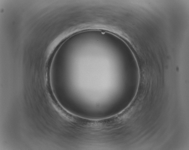 X0000062851511200601131336