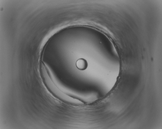 X0000062851512200601131336