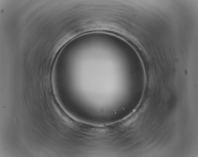 X0000062851513200601131336