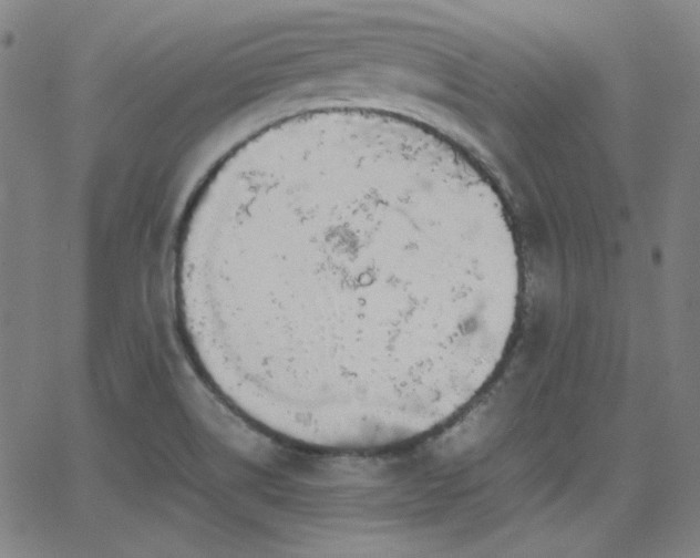 X0000062851514200601131336