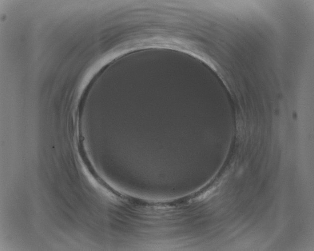 X0000062851515200601131336