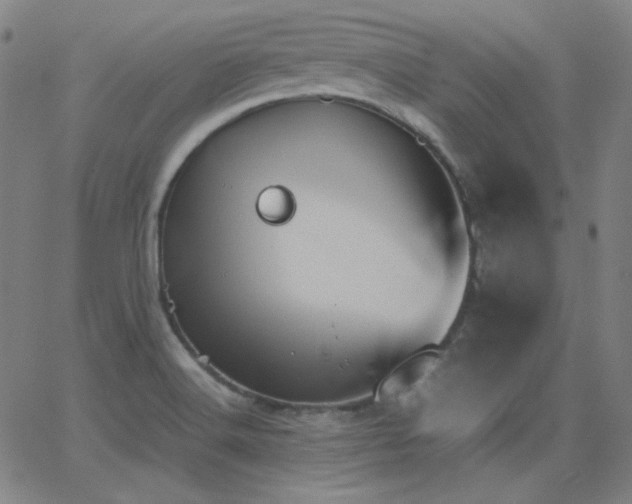 X0000062851516200601131336