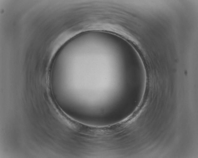 X0000062851517200601131336