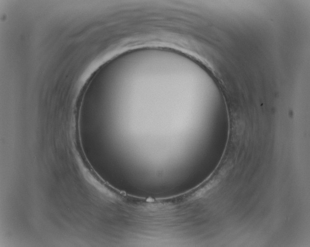 X0000062851518200601131336