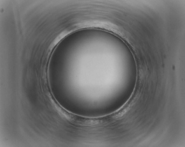 X0000062851521200601131336